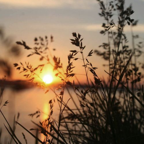 jeune-geneve-se-reposer-jeunant-guerir-microbiote-intermittent-nutrition-sonotherapie-diete-alimentation-jeuner-mediation-yoga-sejours-bains-sonores-spa-etude-chuv-randonnee