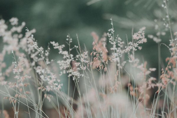jeune-geneve-se-reposer-jeunant-guerir-microbiote-intermittent-nutrition-sonotherapie-diete-alimentation-jeuner-mediation-yoga-sejours-bains-sonores-spa-etude-chuv-randonnee